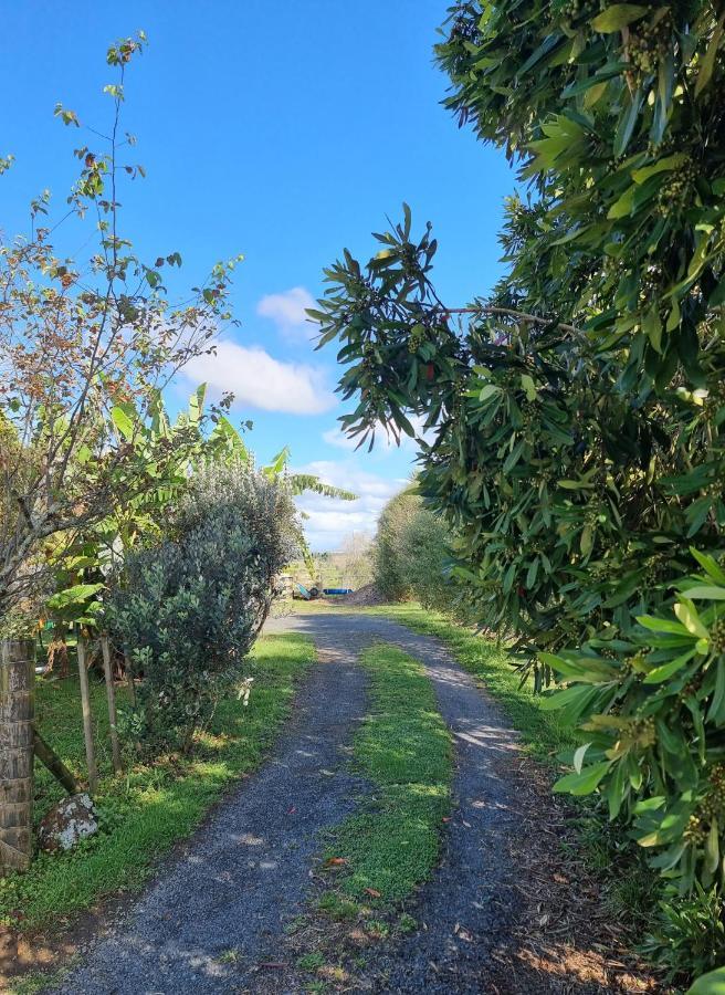 Vila Bookabarn Kerikeri Exteriér fotografie